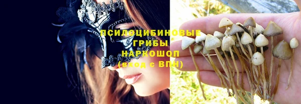 прущая мука Богородск