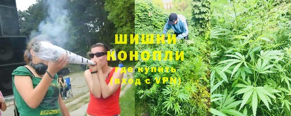 бошки Белокуриха