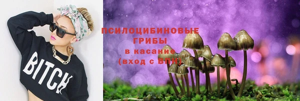 трава Богданович