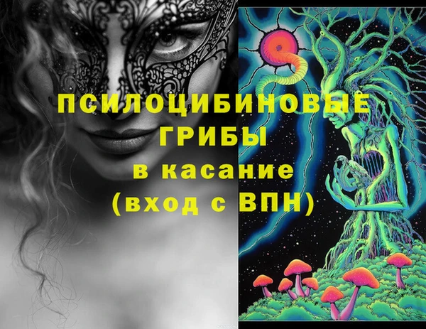 ALPHA PVP Богородицк