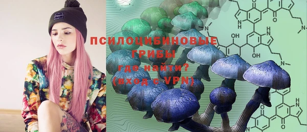 ALPHA PVP Богородицк
