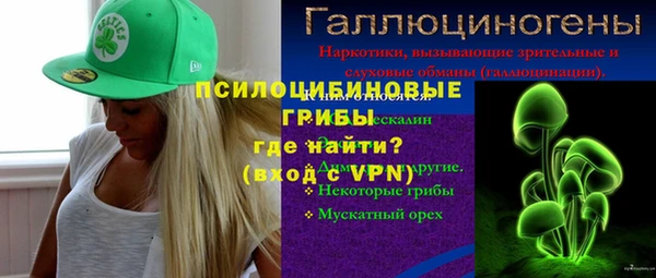 ALPHA PVP Богородицк