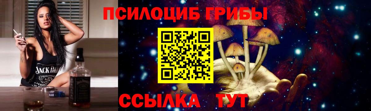 Вязники  Галлюциногенные грибы Magic Shrooms  Галлюциногенные грибы прущие грибы  купить   Вход с VPN 